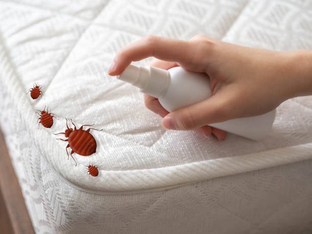 Best Bed Bug Extermination  in Caldwell, NJ